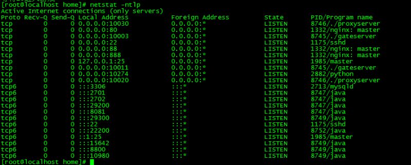 图片[14]-【紫禁之巅免授权版】2025最新整理单机一键即玩镜像端+Linux手工服务端+源码+管理后台+教程-67资源网